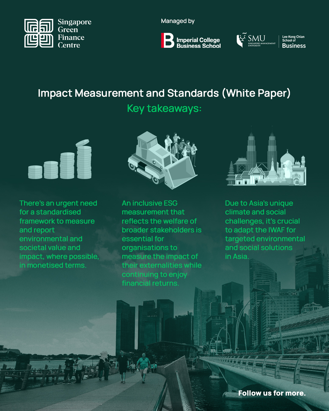 Impact Measurement and Standards White Paper Key Points