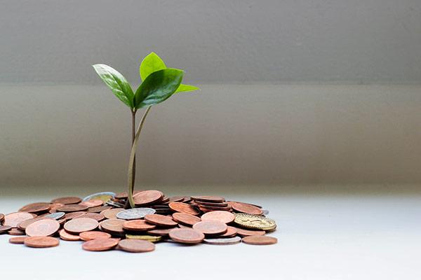 Image representation of grow your money